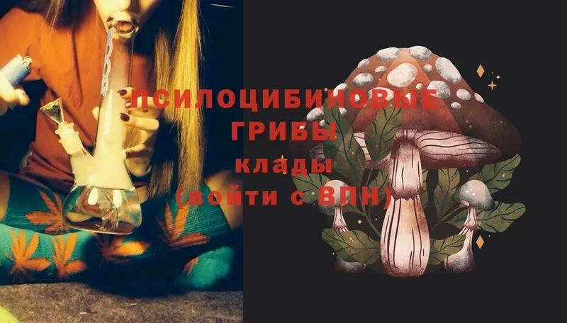 Галлюциногенные грибы Psilocybine cubensis  Спасск-Рязанский 